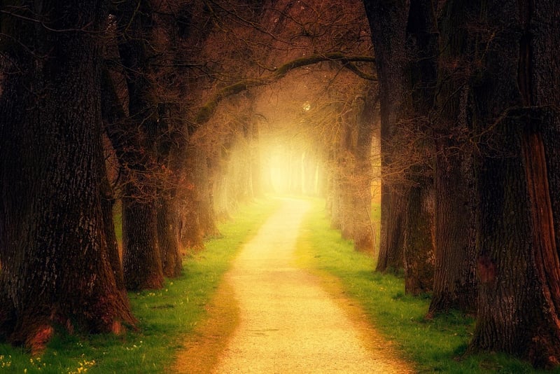 Magical Lighting